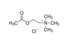 氯化乙酰膽堿
